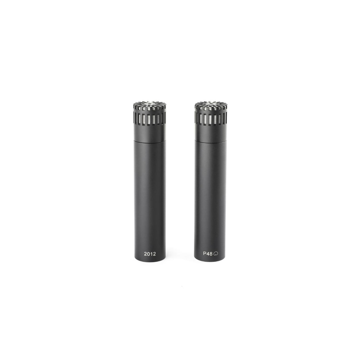 Pair of DPA 2012 on a white background