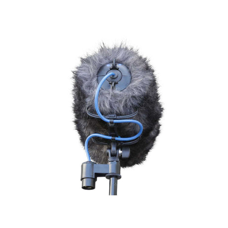 Cinela COSI-L-19 back view, on a white background.