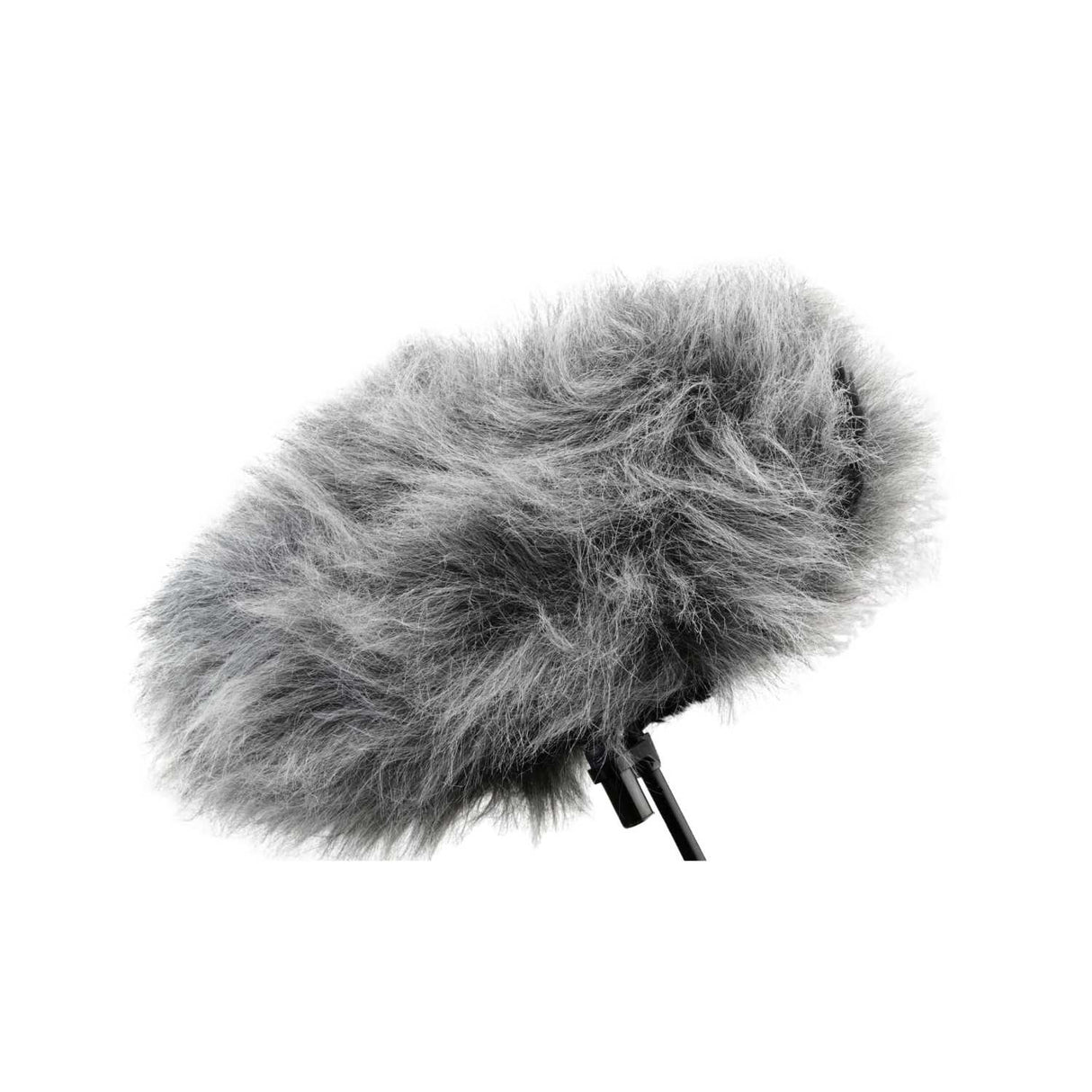 Cinela Pianissimo grey fur, on a white background.