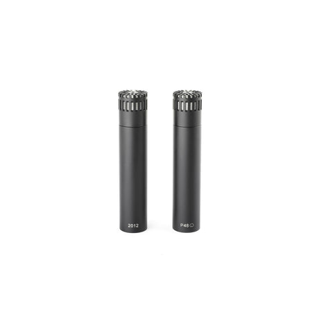 Pair of DPA 2012 on a white background