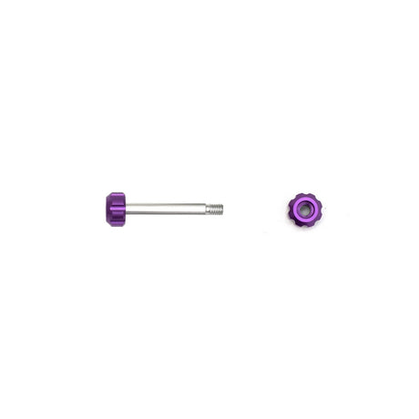Purple Viviana screw and nut, on a white background.